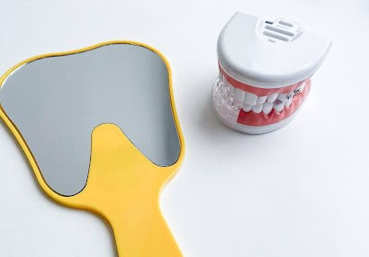 Нумерация зубов в стоматологии: схема и описание