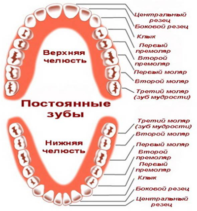 Алгоритм чистки зубов